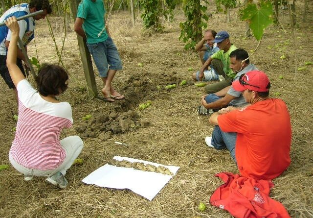 Encontros acontecem em propriedades rurais do município